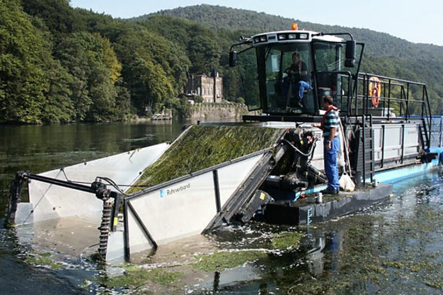 Berkenhegers Mähboote kommen zum Einsatz, wo Flüsse, Seen oder Böschungen gereinigt oder von übermäßigem Bewuchs befreit werden müssen