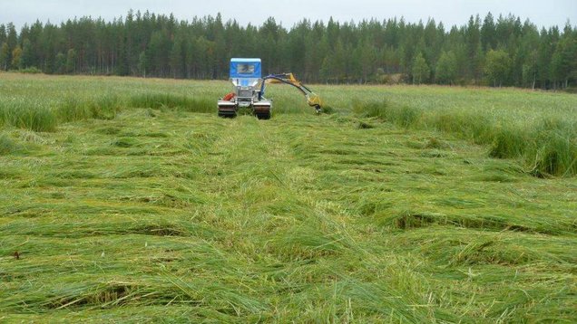 Ziel der Landschaftspflege ist die Schaffung und Erhaltung von naturnahen Landschaften