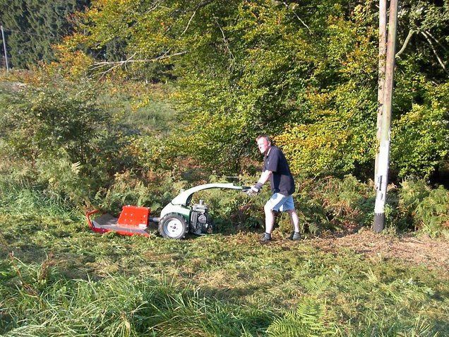 hohes Gras, Gestrüpp und kleine Bäume werden von den Y-Schlegelmessern geschnitten und fein gehäckselt