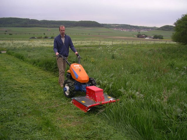 unter Extensivpflege versteht man in Landwirtschaft und Grünanlagenpflege eine spezielle Art der Flächennutzung und Behandlung